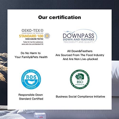 UMI Essentials: Pack 2 Almohadas de Plumas de Ganso Blanco en Percal de Algodón 100%. Almohada Natural de Calidad hotelera, Hinchable y Suave (48 x 74 cm, firmeza Mediana)