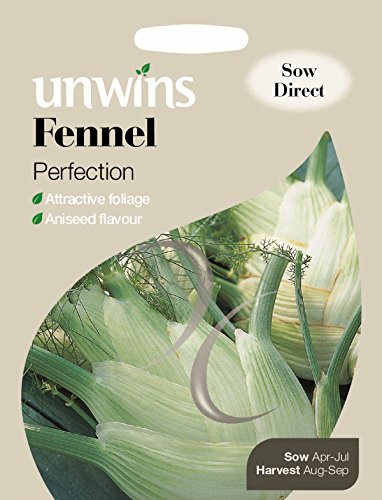 Unwins Pictorial paquete – Perfección – 250 Semillas de Hinojo
