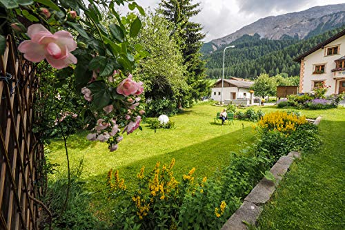 Vale de viaje – 4 días Suiza Hotel Central La Fainera en Bergdorf Valchava – cupón de hotel, vacaciones, viaje corto