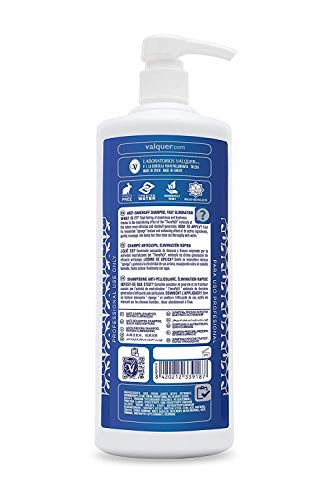 Válquer Profesional Champú Anticaspa Eliminación Rápida, 1000 ml