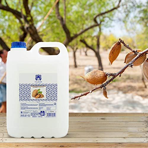 Válquer Válquer Champú Especial De Almendras Para Peluquería. Champú Para Profesional - 5000 ml.