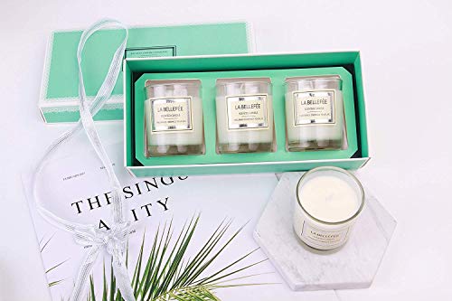 Vela perfumada La Bellefée, paquete de regalo, vela votiva de cera de soja, perfecta para aniversario, cumpleaños, yoga, Navidad, madre, padre, día de San Valentín, 3 paquetes