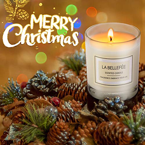 Vela perfumada La Bellefée, paquete de regalo, vela votiva de cera de soja, perfecta para aniversario, cumpleaños, yoga, Navidad, madre, padre, día de San Valentín, 3 paquetes