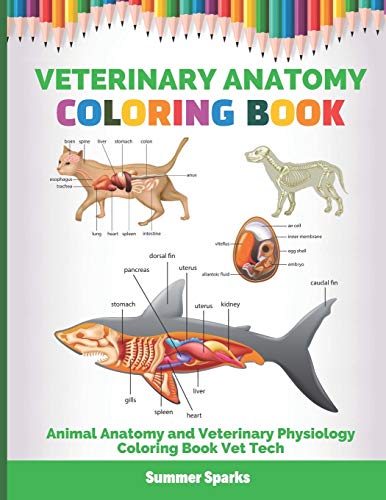 Veterinary Anatomy Coloring Book: Animal Anatomy and Veterinary Physiology Coloring Book Vet Tech