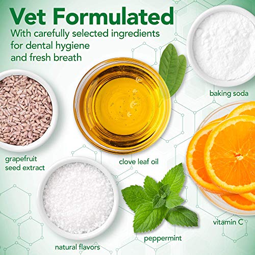 Vet's Best Pasta de Dientes para Perros, Limpieza de Dientes y Kit de Gel para el Cuidado Dental de Aliento Fresco