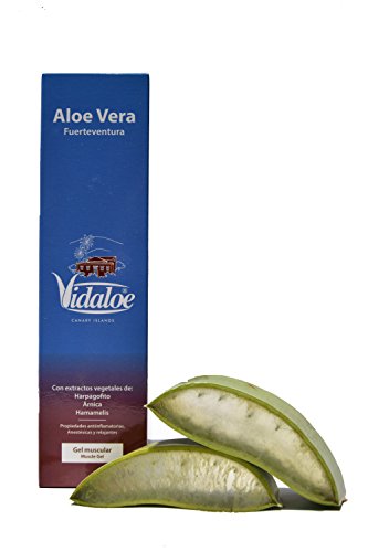 Vidaloe gel muscular de Aloe Vera 250ml