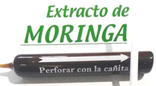 VITALMOR EXTRACTO CONCETRADO DE MORINGA, con todos los Aminoácidos Esenciales en 30 Ampollas bebibles. Tratamiento para 30 días.