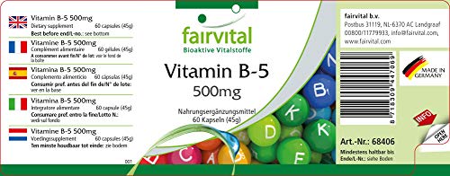 Vitamina B5 500mg - Ácido Pantoténico - Suplemento VEGANO - Dosis elevada - 60 Cápsulas - Calidad Alemana