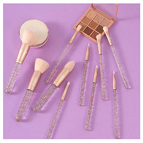 ViVid Stella Pinceles de Maquillaje 10 Piezas Mango Transparente de Cristal Set de Pinceles Cosméticos Acrílicos Bolsa de Maquillaje de Viaje Herramienta de Belleza Para Mujeres Niñas