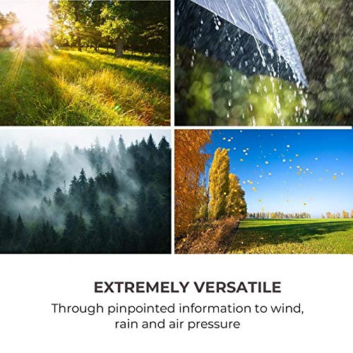 Waldbeck Halley - Estación metereológica Profesional, Medidas 6 en 1: Temperatura, presión atmosférica, precipitación, Viento, radiación UV y luz, De -40 a + 60 °C, Interior/Exterior, WiFi, App