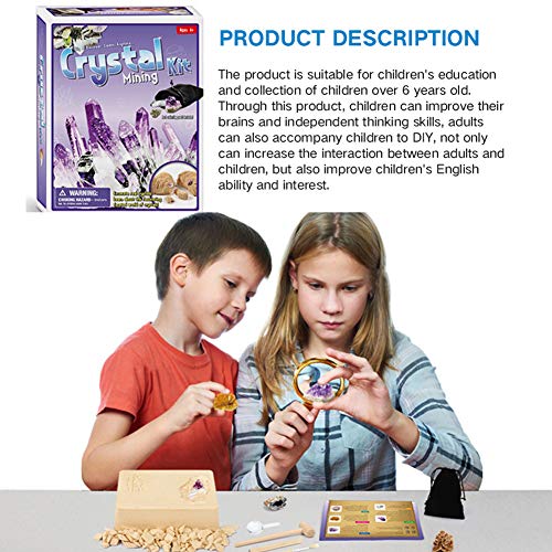 Wan&ya Cristal Gema Fossil Dig Kit de Piedras Preciosas de excavación Conjunto Minería para Niños/Geología Educación Regalo de cumpleaños de la Ciencia,A
