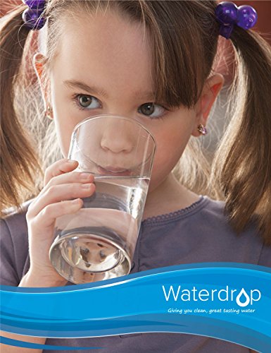 Waterdrop MWF Cartucho de Filtro de Agua para Nevera/frigorífico - General Electric GE SmartWater MWF MWFA MWFP GWF GWFA GWF01; Hotpoint HWF HWFA MWF MWFA; Sears/Kenmore 46-9991; 53-WF-07GE WF07 (1)