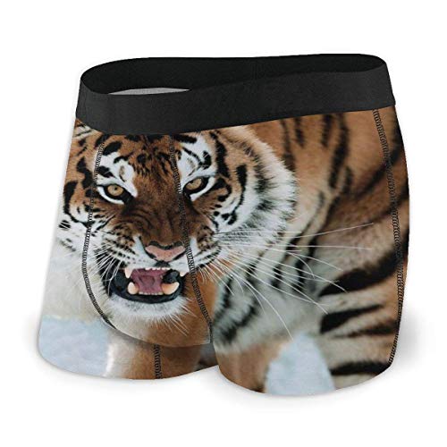 Web--ster Calzoncillos bóxer para Hombre Ropa Interior, Foto de Primer Plano de una Bestia Felina Salvaje con una Mirada intensa Fuerza de Talla L