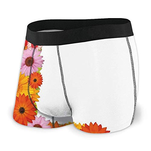 Web--ster Calzoncillos Boxer para Hombres, Alfabeto de Flores con Fragancia de pétalos de Gerbera Símbolos de jardín Natural floreciente Talla XL