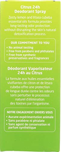 Weleda, Desodorante - 100 ml