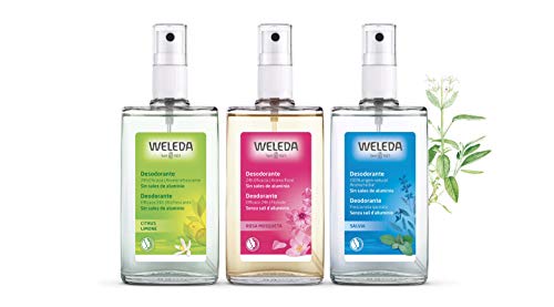 Weleda - Desodorante natural del cuerpo para Mosqueta 100 ml Rosa