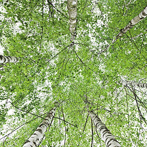 WELEDA Zumo de Abedul 200 ml