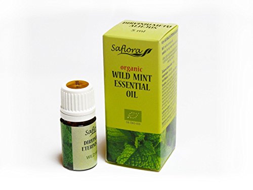 Wild menta aceite esencial 100% puro, orgánico, therapeutic-grade Talla:10 ml