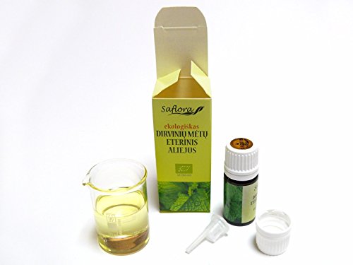 Wild menta aceite esencial 100% puro, orgánico, therapeutic-grade Talla:10 ml