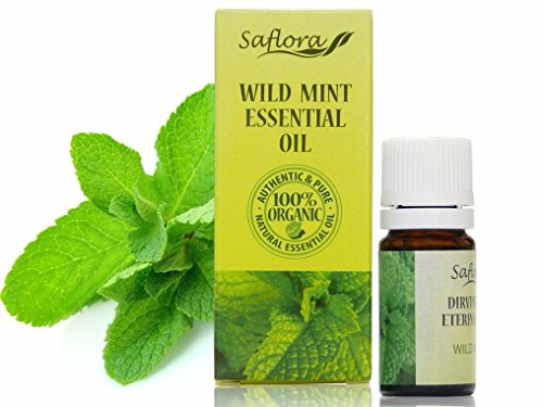 Wild menta aceite esencial 100% puro, orgánico, therapeutic-grade Talla:10 ml