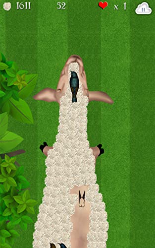 Wooly Sheep Shave : el día pastor cordero de afeitar para la cosecha de lana - gratis