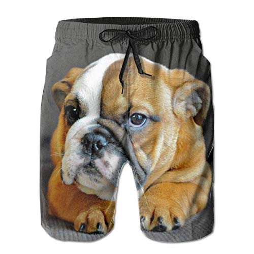 wusond Ropa Interior básica con Bolsillos para Perros y Cachorros de Bulldog inglés Grandes y únicos para Hombre, Grandes y Altos