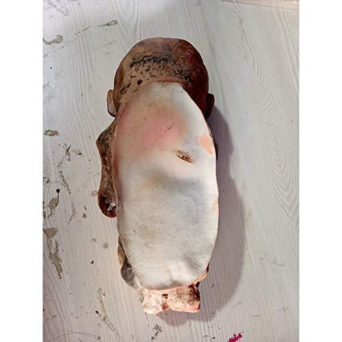 Wxq Látex Scary Zombie Baby Paquete De 2 Bebé Animado Zombie Scary Ghost Babies Doll Haunted Fancy Doll Halloween Decoración De Halloween Props Suministros