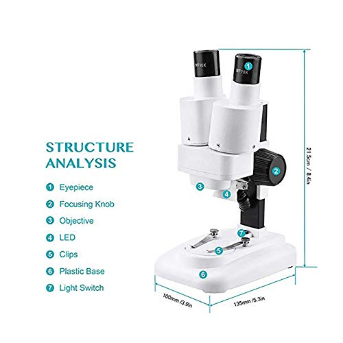 WXX Microscopio Binocular 20X con Doble Fuente De Luz LED, Microscopio Biológico De Metal, Puede Observar Rocas, Plantas, Monedas, Insectos, Etc.