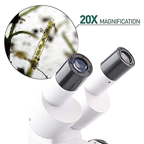 WXX Microscopio Binocular 20X con Doble Fuente De Luz LED, Microscopio Biológico De Metal, Puede Observar Rocas, Plantas, Monedas, Insectos, Etc.