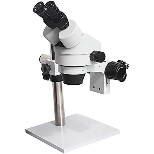 WXX Microscopio De Mosaico De Joyería con Zoom Continuo 7X-45X con Portabrocas Inclinable para Microscopio Estereoscópico Binocular para Observar Rocas E Insectos