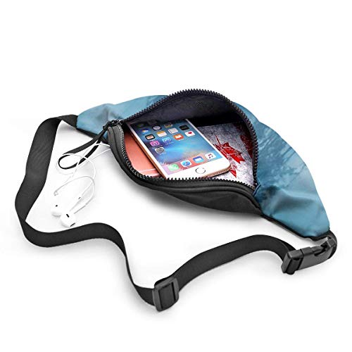 XCNGG Bolso de la Cintura del Ocio Bolso Que acampa Bolso del montañismo Waist Pack Bag for Men&Women, Stairs Sunshine Utility Hip Pack Bag with Adjustable Strap for Workout Traveling Casual Running
