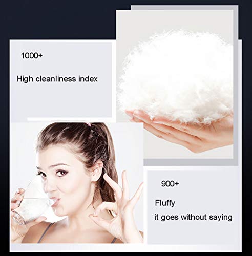 ZHANGYANTY Edredón/edredón, Lavanda perfumada Ganso edredón, 100% algodón Anti ácaros del Polvo y Abajo Tela Prueba - Anti alérgeno Lavable Adecuado for Invierno en el hogar del edredón