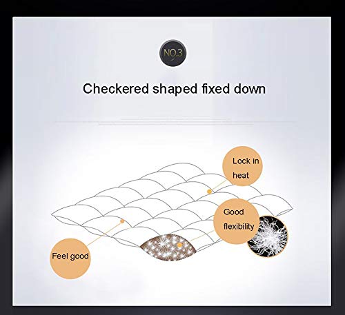 ZHANGYANTY Edredón/edredón, Lavanda perfumada Ganso edredón, 100% algodón Anti ácaros del Polvo y Abajo Tela Prueba - Anti alérgeno Lavable Adecuado for Invierno en el hogar del edredón