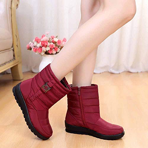 ZODOF Botas de Nieve para Mujer Mujeres Calientes de Invierno Botas para la Nieve Botas Casuales para Mujer Botines cálidos Botas de Mediana Edad