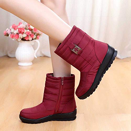 ZODOF Botas de Nieve para Mujer Mujeres Calientes de Invierno Botas para la Nieve Botas Casuales para Mujer Botines cálidos Botas de Mediana Edad