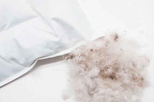 Zollner Almohada bebé para minicuna, de plumón y pluma, 35x40 cm, en otra medida