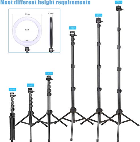 ZOMEi Anillo de Luz LED Fotografia de 30cm, 3 Colores Regulables, con Trípode de 168cm, Soporte de teléfono y Enchufe USB para Maquillaje, manicura, salón de Tatuajes, fotografía, Selfie y Youtube