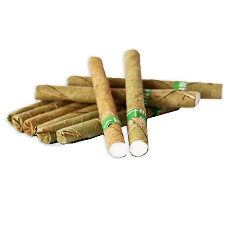 10 Paquetes de cigarrillos de hierbas Nirdosh con filtro – Programa para dejar de fumar – remedio contra el humo terapia 100% natural – paquetes de 10 cigarrillos cada uno – Dispositivo médico EU