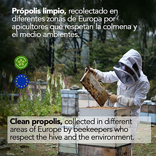 100 gramos - Propoleo puro 100% natural. Propolis no procesado ni calentado directo del apicultor. El mejor antibiótico natural.