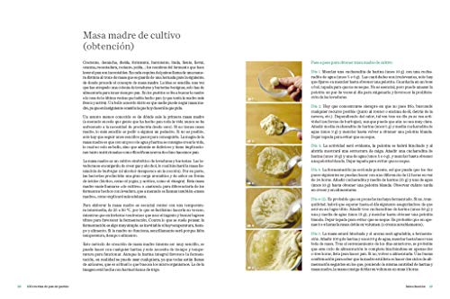 100 recetas de pan de pueblo: Ideas y trucos para hacer en casa panes de toda España (Sabores)