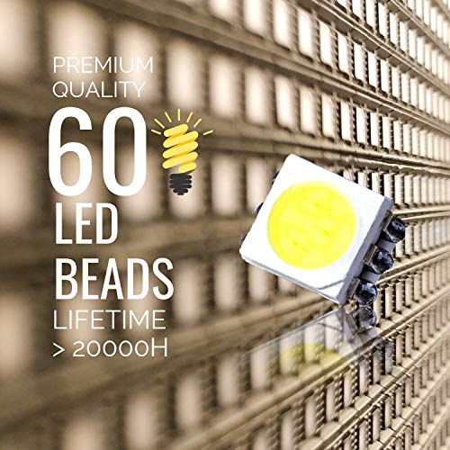 10000 Lux LED Luz Despertador Lámpara, Wake up Light con Simulación del Amanecer, 20 Niveles de Brillo libres de UV, Adaptador y Soporte Plegable Incluido - INNObeta Lichtopia