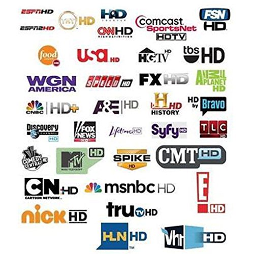 12 Mes CCCAM 1 año Europa, España 2 Cline suscripción HD Wifi DVB-S2 todos los decodificadores satelites, Especial para decodidificadores Engel