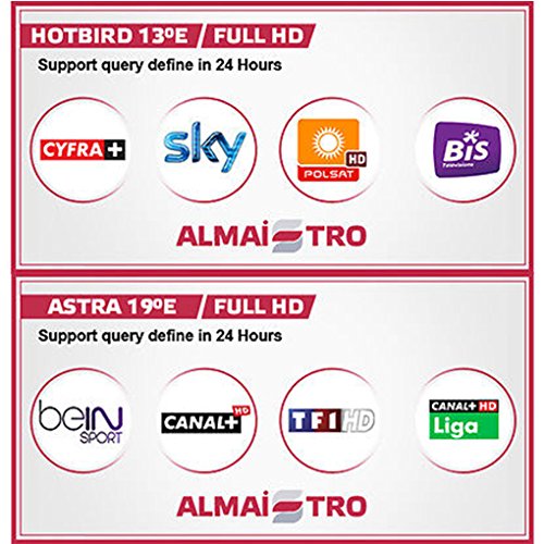 12 Mes CCCAM 1 año Europa, España 2 Cline suscripción HD Wifi DVB-S2 todos los decodificadores satelites, Especial para decodidificadores Engel