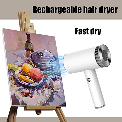 1250W inalámbrico Secador pelo portátil - 2000Mah recargable secador cabello fría y caliente viento, para el recorrido Escuela cuidado animales peluquería pintura al óleo Herramientas el secado