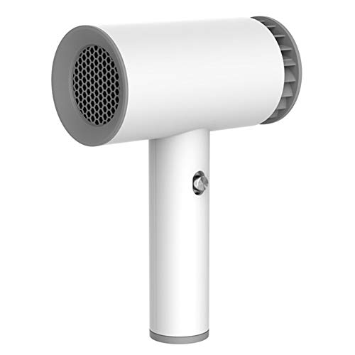 1250W inalámbrico Secador pelo portátil - 2000Mah recargable secador cabello fría y caliente viento, para el recorrido Escuela cuidado animales peluquería pintura al óleo Herramientas el secado