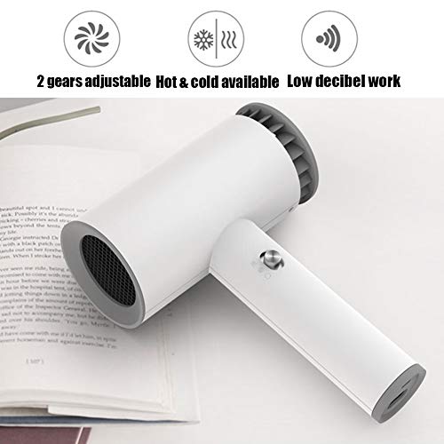 1250W inalámbrico Secador pelo portátil - 2000Mah recargable secador cabello fría y caliente viento, para el recorrido Escuela cuidado animales peluquería pintura al óleo Herramientas el secado