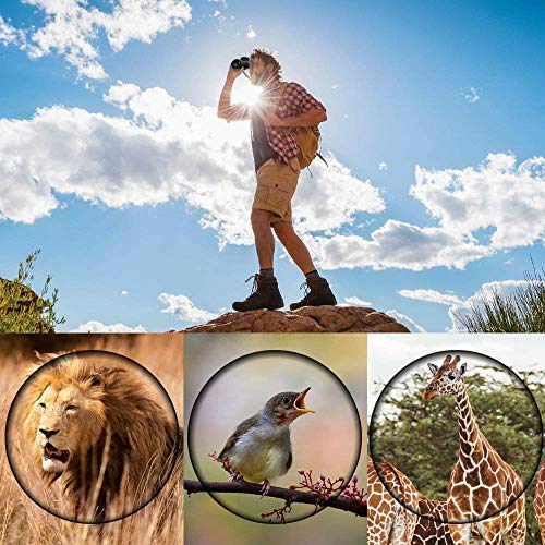 12X50 High Power Monocular HD Dual Focus Scope, Waterproof Compact Monocular with Smartphone Tripod and Mount Adapter, BAK4 Multi-Coated Zoom Lens for Hunting Bird Watching Camping