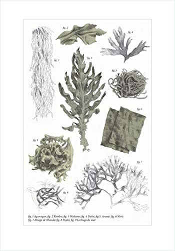 1460 recetas para disfrutar las verduras todo el año (Cocina)