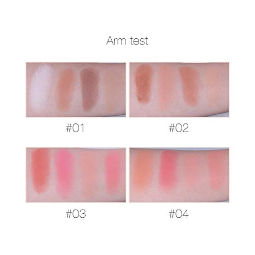 1Pack 2 en 1 Sombra en crema para rubor y labios Rouge cream 4 colores Colorete Master Heat Polvo para mejillas Colorete Lasting Finish Blush (02)
