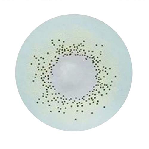 2 UNIDS/CONJUNTO Moda Natural Suave Ojo Grande Protección UV Ojo Grande Lentes de Contacto de Color Mejor Regalo